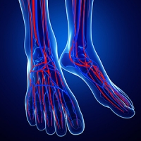 What are the Symptoms of Poor Circulation?
